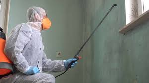 Woodland Heights, PA Mold Removal Company